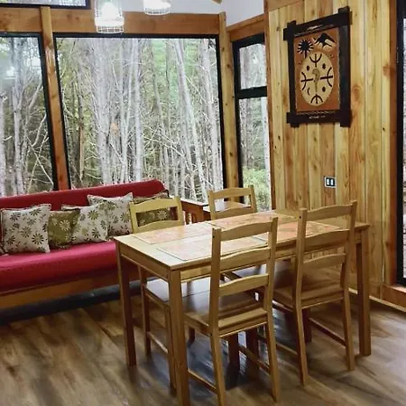 Chalet De Montana En Conaripe Sector Termas Geometricas 